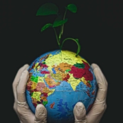 Earth Globe held by gloved hands with green plant sprouting